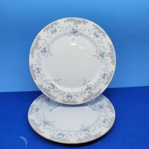 Imperial China "Seville" Japan Set Of 2 W. Dalton10 1/2" Dinner Plates 1940-1960
